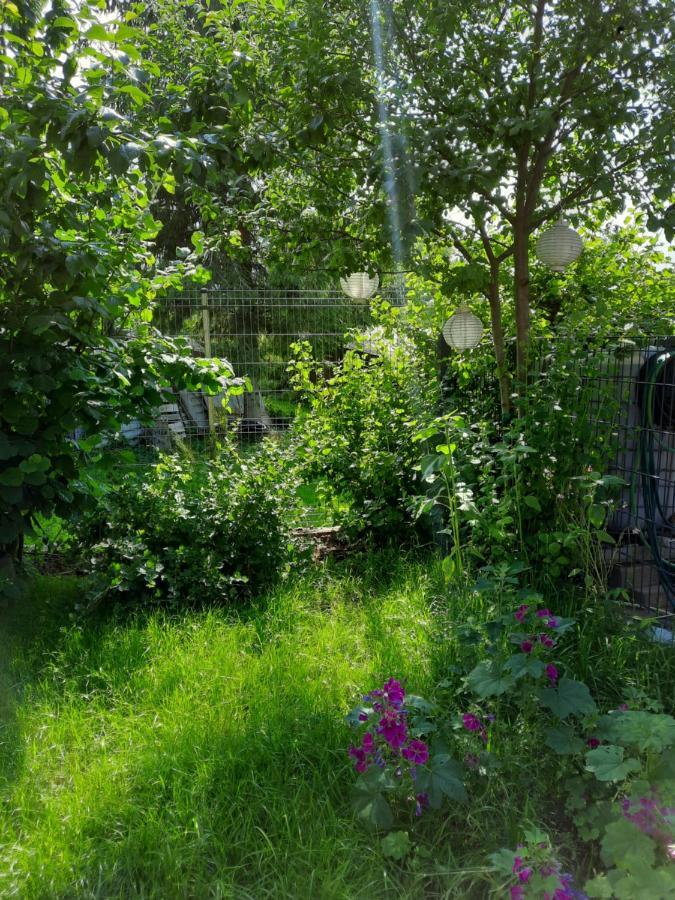 Gaestewohnung Am Thuemmlitzwald 格里马 外观 照片